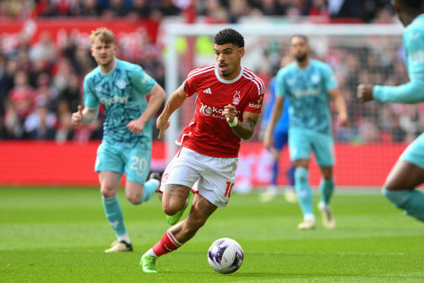 圈的发展 圈的发展